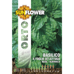 Sementi Basilico Foglie Lattuga          Sunflower
