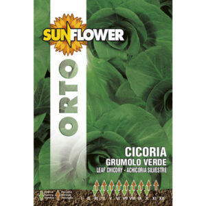 Sementi Cicoria Grumulo Verde            Sunflower