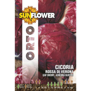 Sementi Cicoria Rossa Di Verona          Sunflower
