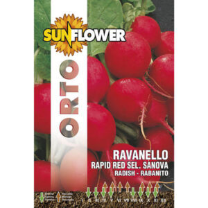 Sementi Ravanello Rapid Red              Sunflower