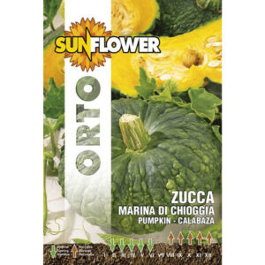 Sementi Zucca Marina Di Chioggia         Sunflower