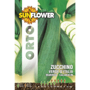 Sementi Zucchino Verde Italia            Sunflower