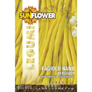 Sementi Fagiolo Nano Berggold            Sunflower